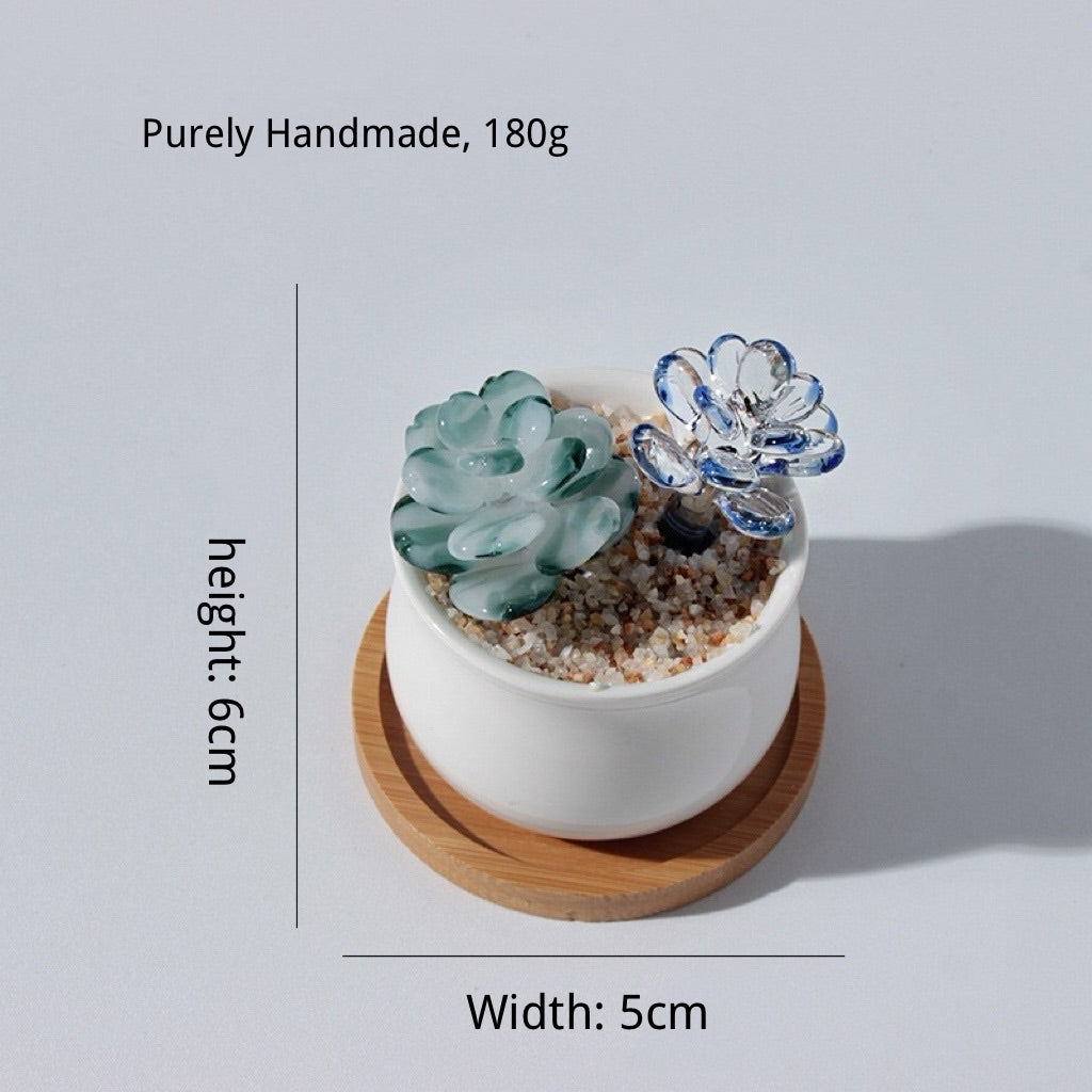 B005 Blue Succulent Combination