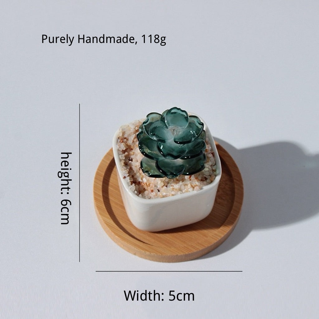 B008 dark green succulent